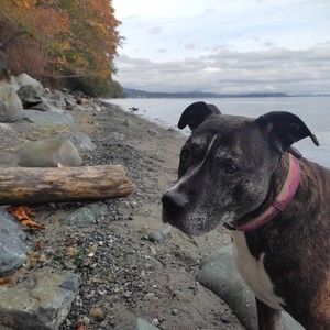 Meet your Posher, Casey